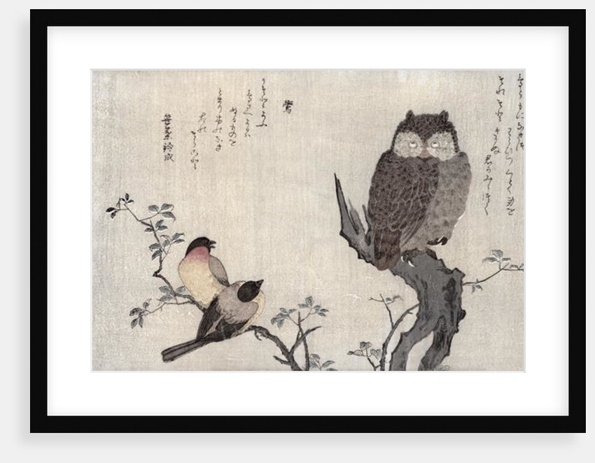 An Owl and two Eastern Bullfinches, Utamaro, 1791 by Kitagawa Utamaro