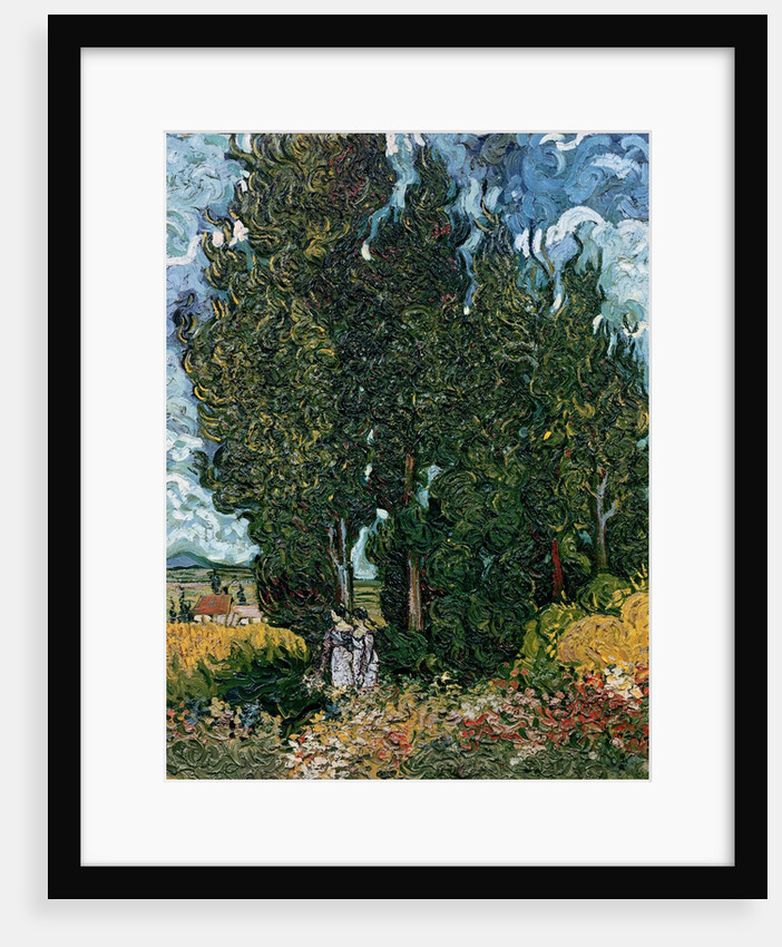 The cypresses, c.1889-90 by Vincent van Gogh