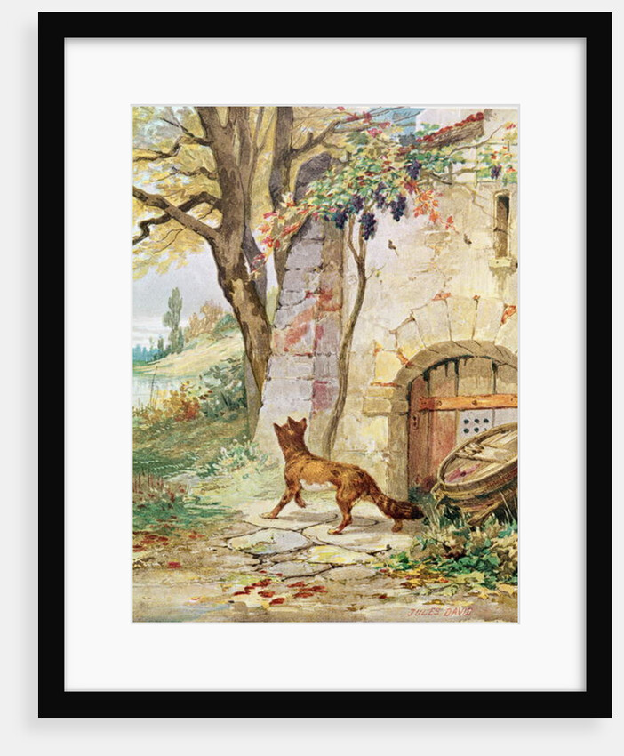 The Fox and the Grapes by Jules David
