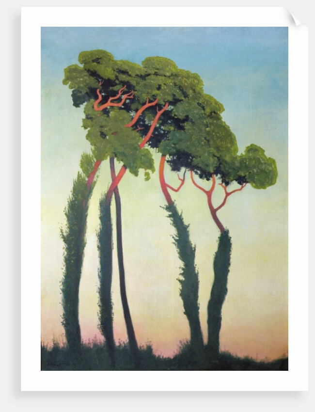 Landscape with Trees, 1911 by Felix Edouard Vallotton