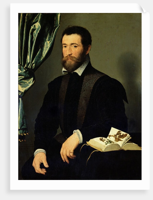 Pierre Quthe 1562 by Francois Clouet