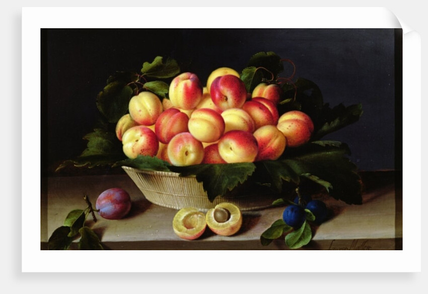 Basket of Apricots, 1634 by Louise Moillon