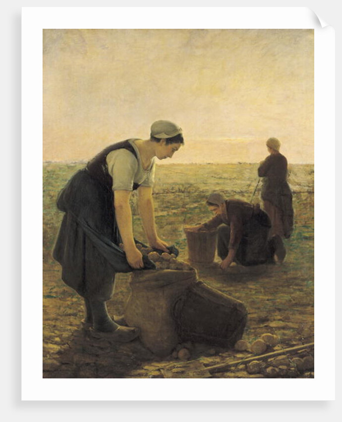 The Potato Harvest by Ernest Masson