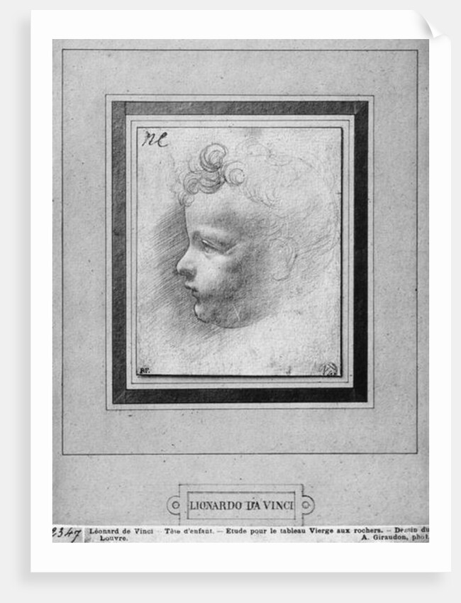 Head of a child by Leonardo da Vinci