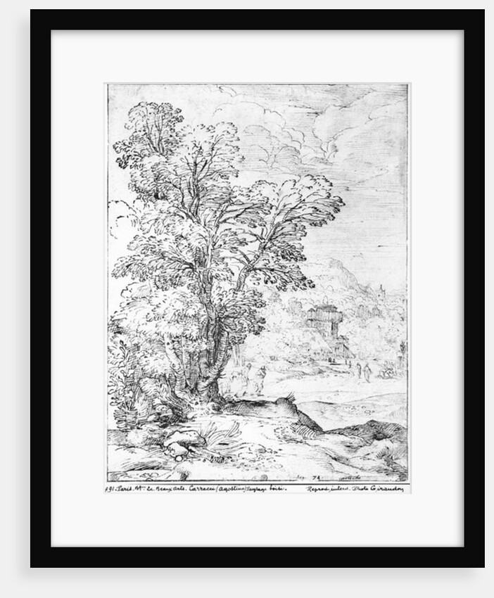 Wooded landscape by Agostino Carracci