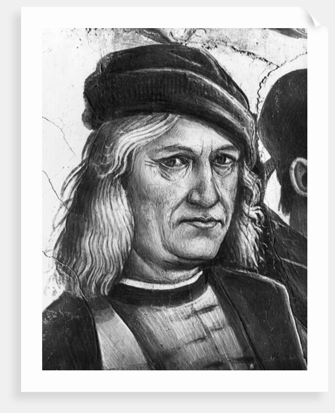 Self Portrait by Luca Signorelli