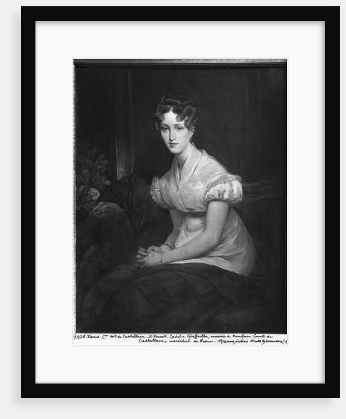 Cordelia Greffulhe by Emile Jean Horace Vernet