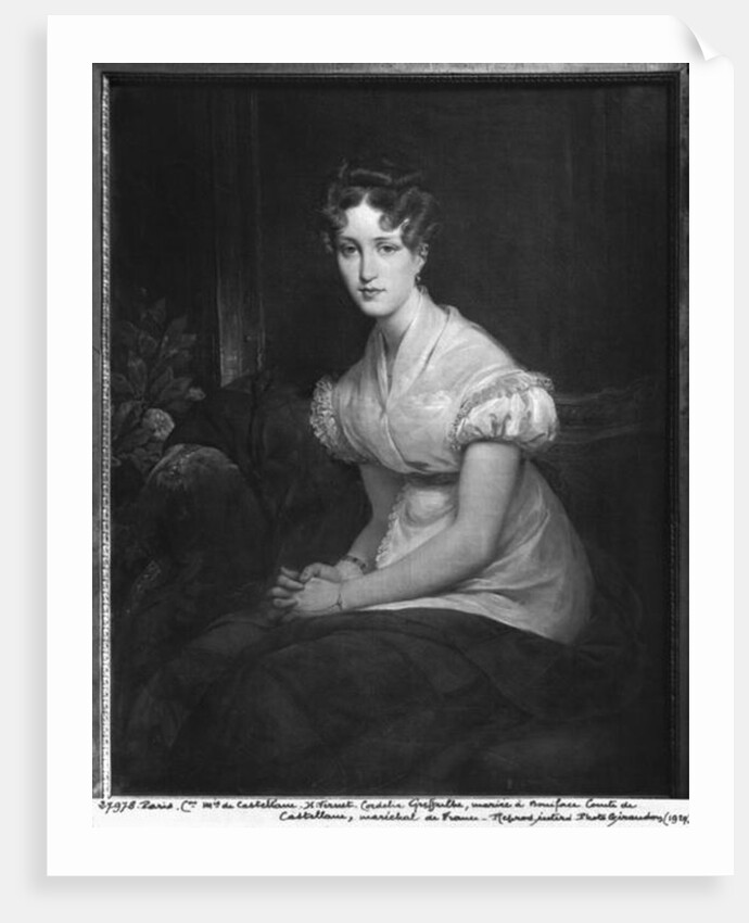 Cordelia Greffulhe by Emile Jean Horace Vernet