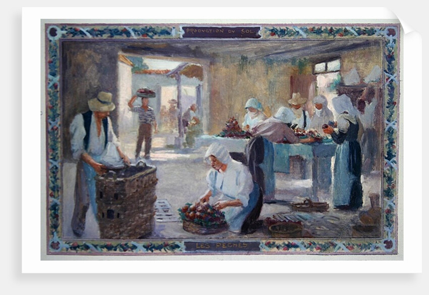 Produce of the Sun: Peaches, 1892 by A.F. & Bonnencontre E.de Gorguet