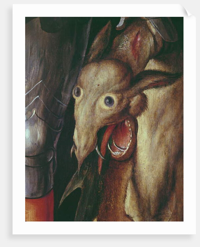 Paumgartner Altarpiece: detail of the Left Hand Wing, depicting the head of the dragon defeated by St. George, c.1500 by Albrecht Dürer or Duerer