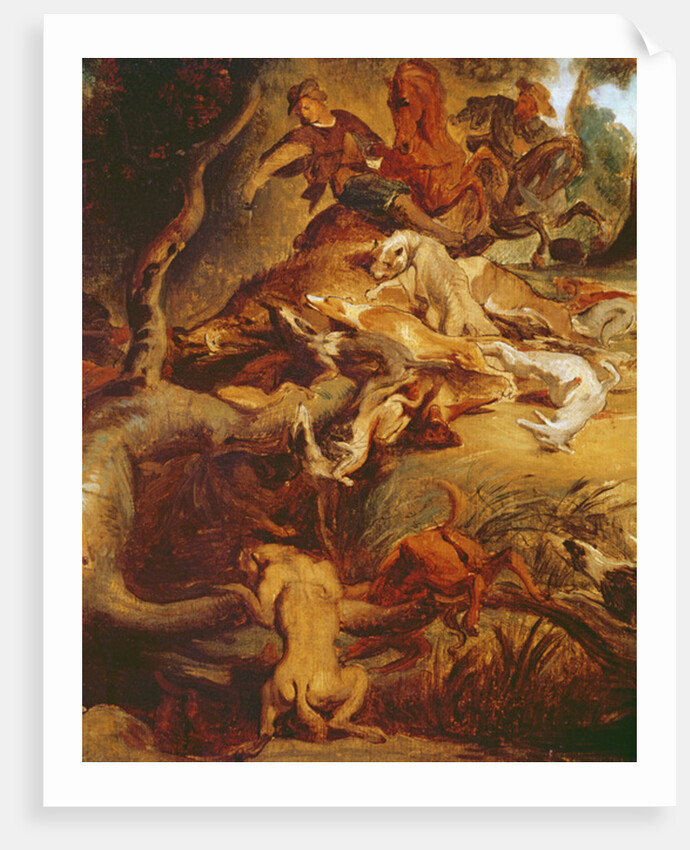 Detail of The Wild Boar Hunt, after a painting by Rubens, c.1840-50 by Ferdinand Victor Eugene Delacroix
