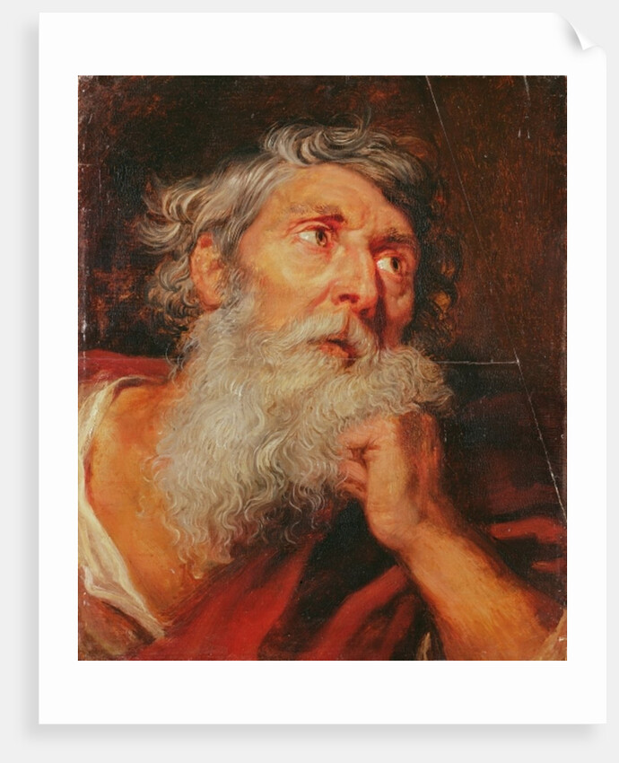 Head of an Apostle by Anthony van Dyck