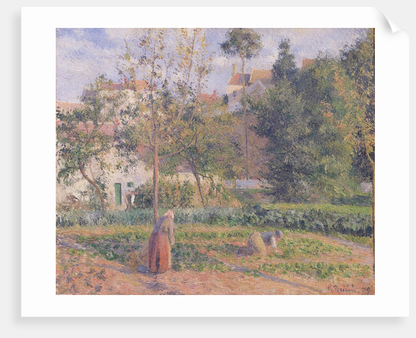 Vegetable Garden at the Hermitage, Pontoise, 1879 by Camille Pissarro