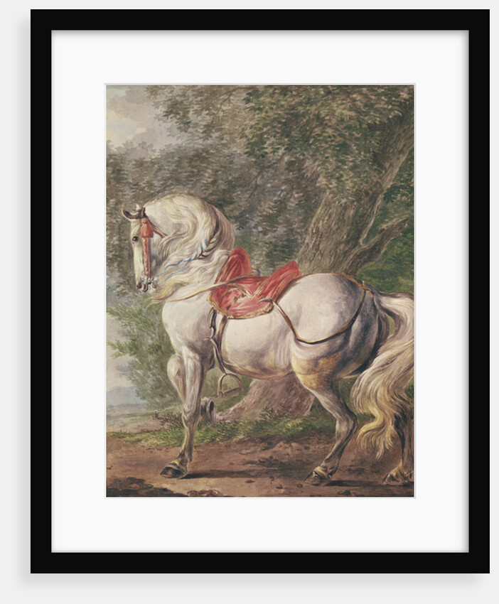 A White Horse by Philips Wouwermans or Wouwerman