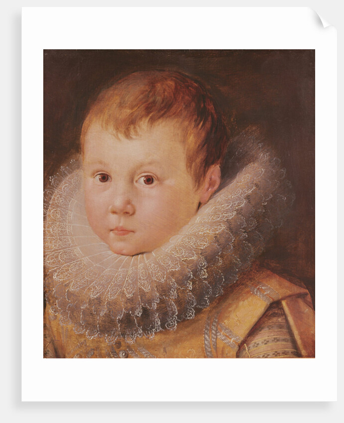 Portrait of a child by Flemish School