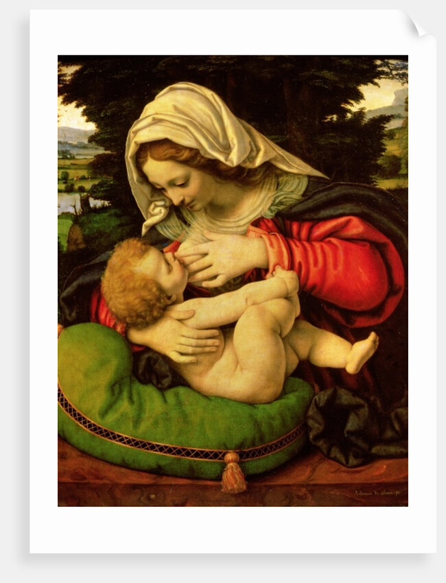 The Virgin of the Green Cushion, 1507-10 by Andrea Solario