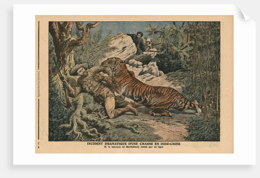 Marquis of Barthelemy wounded by a tiger by French School