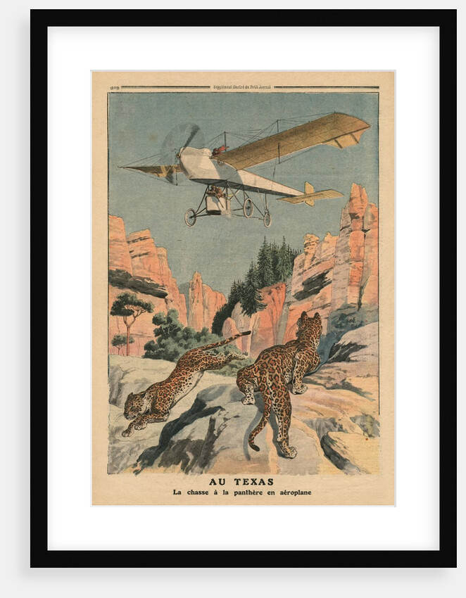 Hunting panthers from an airplane in Texas by French School