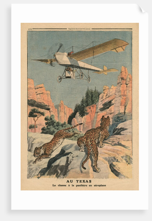 Hunting panthers from an airplane in Texas by French School
