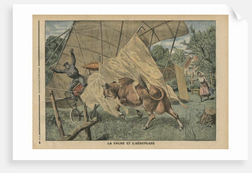 The cow and the airplane by French School