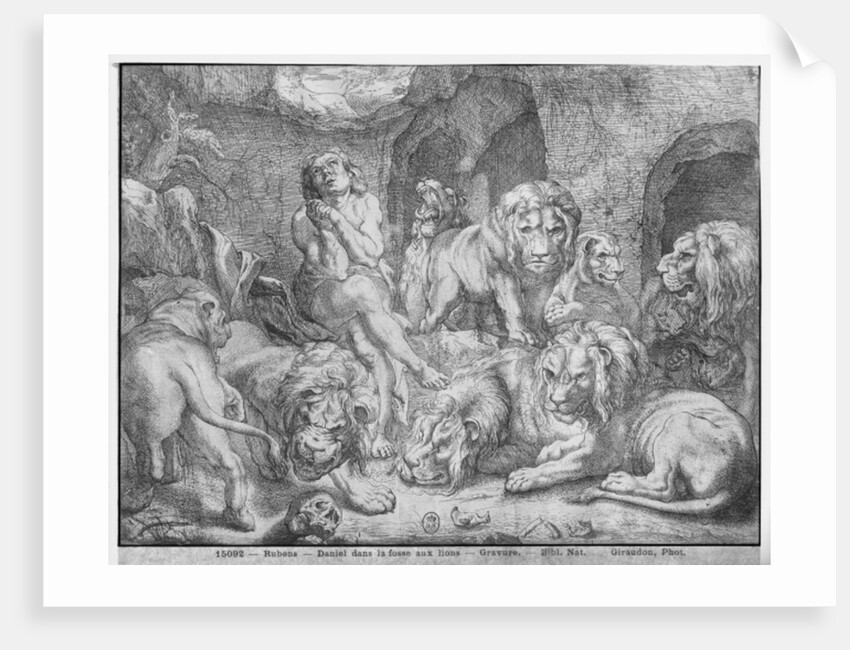 Daniel in the lions' den by Peter Paul Rubens