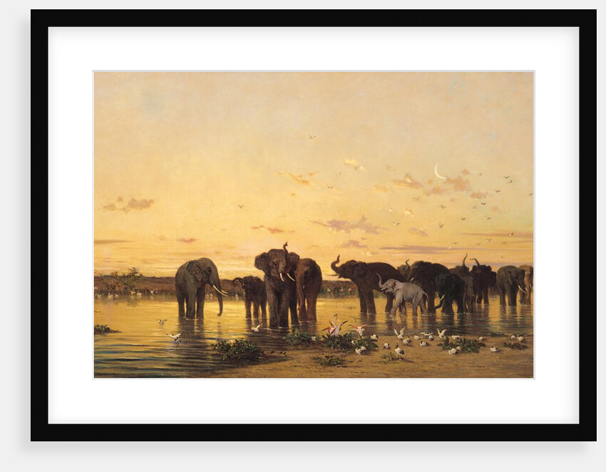 African Elephants, 1867 by Charles Emile de Tournemine