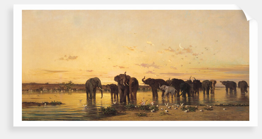 African Elephants, 1867 by Charles Emile de Tournemine