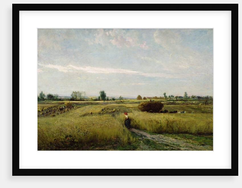 The Harvest, 1851 by Charles Francois Daubigny
