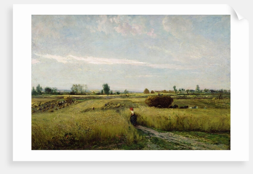The Harvest, 1851 by Charles Francois Daubigny