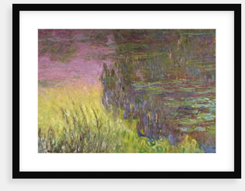 Waterlilies at Sunset, 1915-26 by Claude Monet