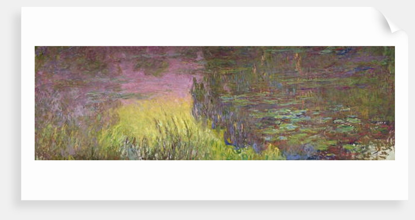 Waterlilies at Sunset, 1915-26 by Claude Monet