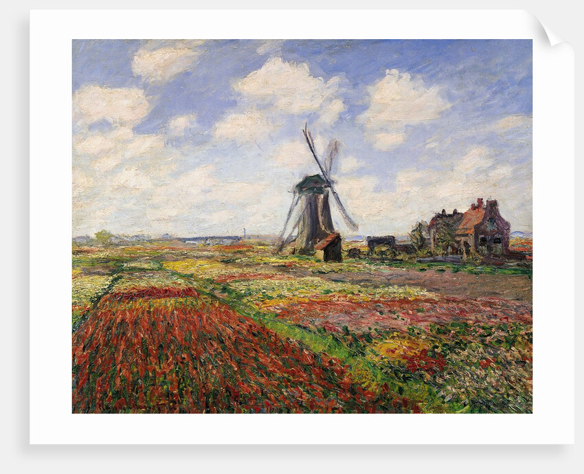 Tulip Fields with the Rijnsburg Windmill by Claude Monet