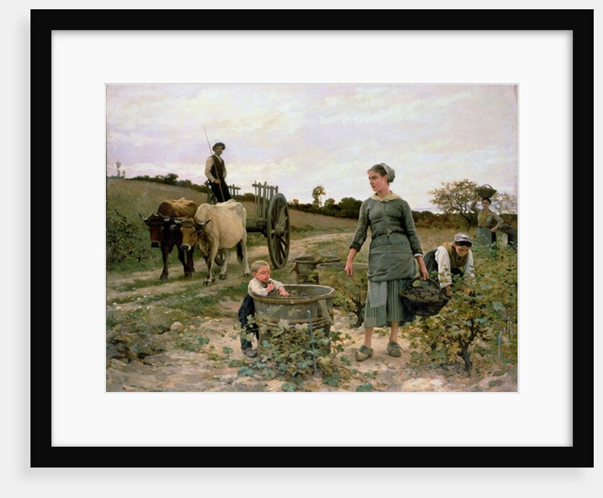 Corner of a Vineyard, Languedoc, 1886 by Edouard Debat-Ponsan