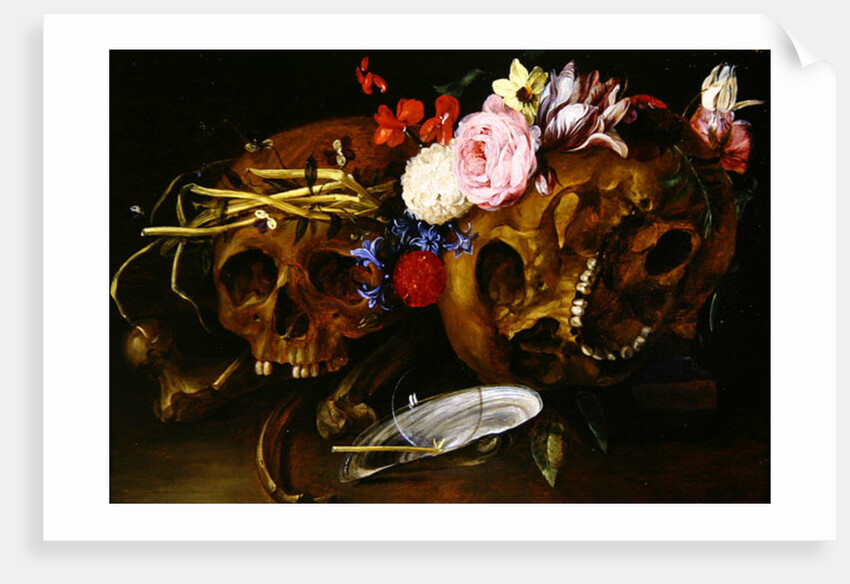Vanitas Still Life with Skulls, Flowers, a pearl mussel shell, a bubble and straw by Nicolaes van Veerendael