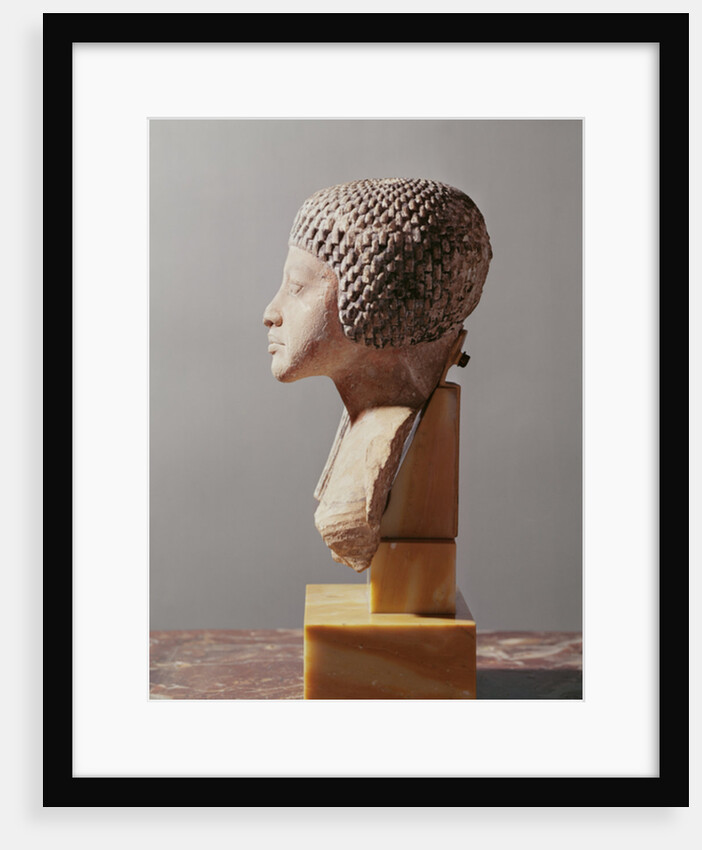 Left profile of the head of a Princess from the family of Akhenaten, New Kingdom by Egyptian 18th Dynasty