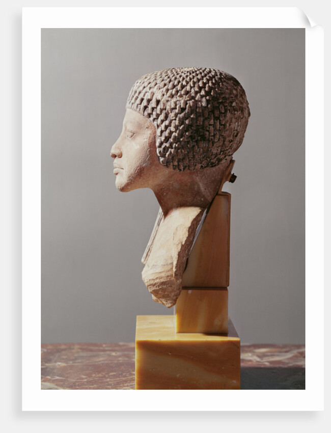 Left profile of the head of a Princess from the family of Akhenaten, New Kingdom by Egyptian 18th Dynasty