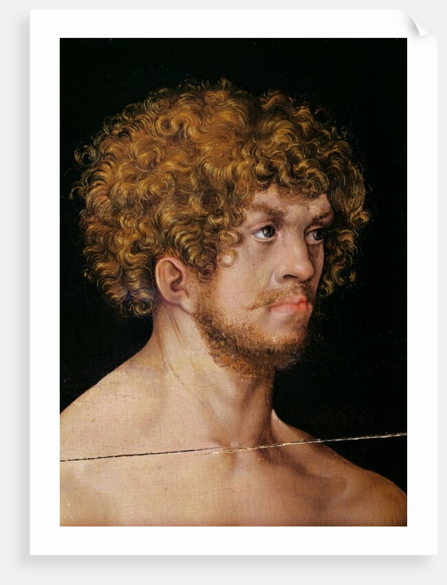 Adam and Eve, detail of Adam's head by Lucas the Elder Cranach