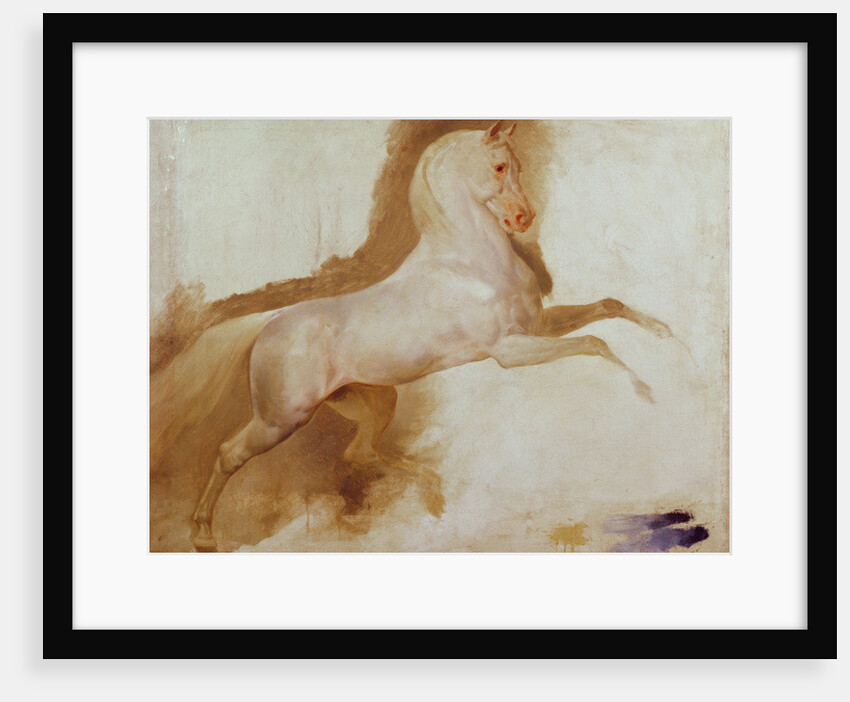Horse of Joachim Murat, c. 1832 by Baron Antoine Jean Gros