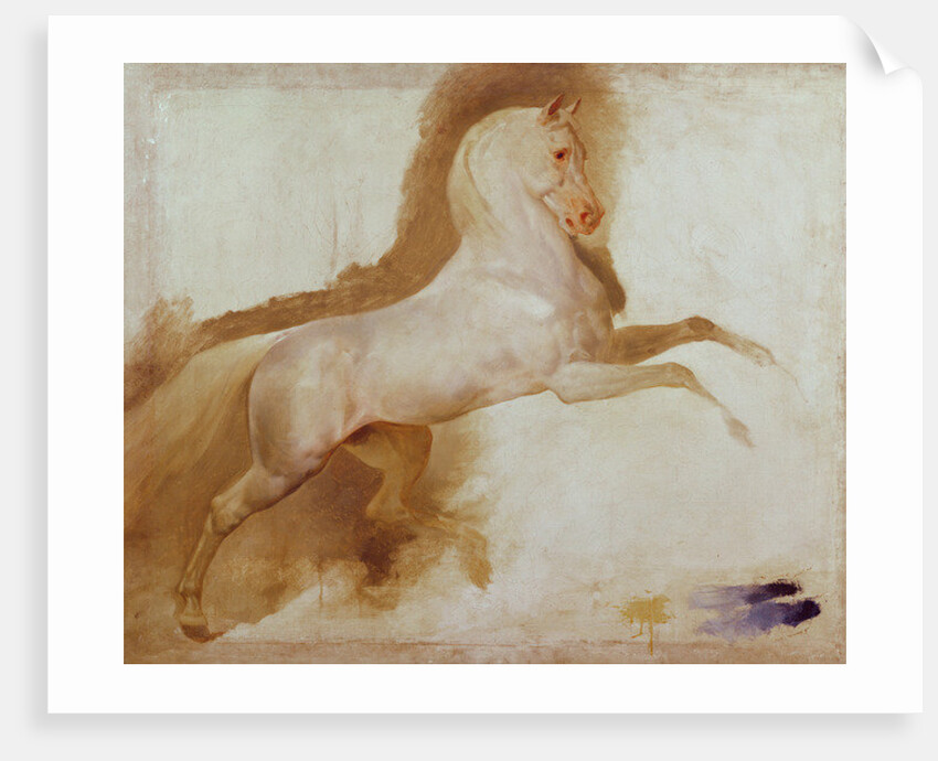Horse of Joachim Murat, c. 1832 by Baron Antoine Jean Gros
