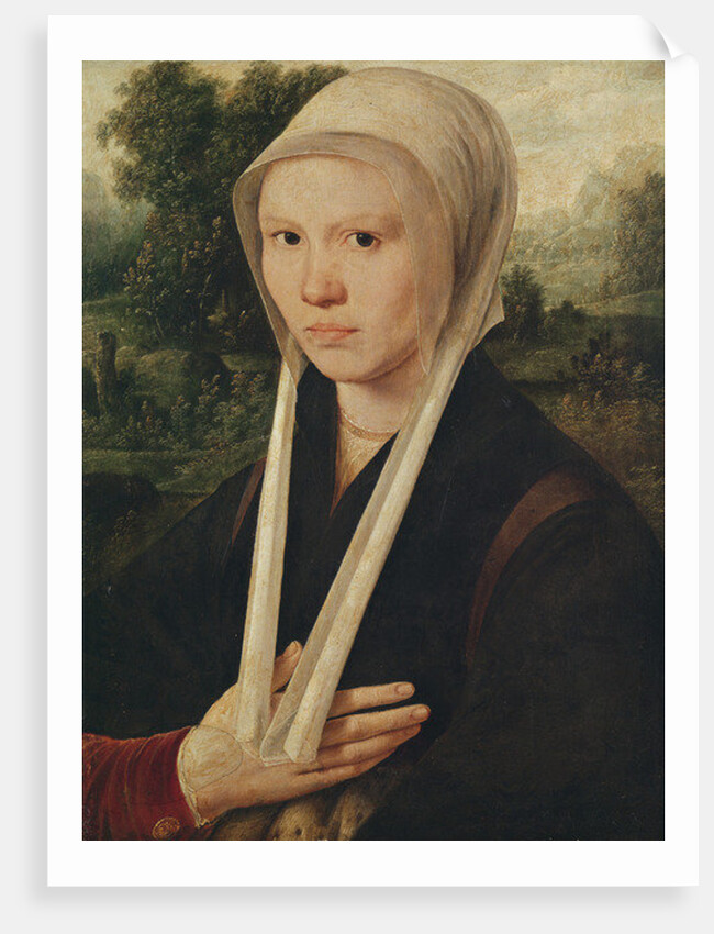 Portrait of a young woman, c.1530 by Dirk Jacobsz
