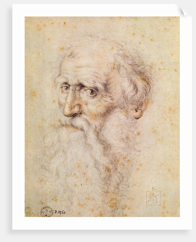 Portrait of a bearded old man by Albrecht Dürer or Duerer