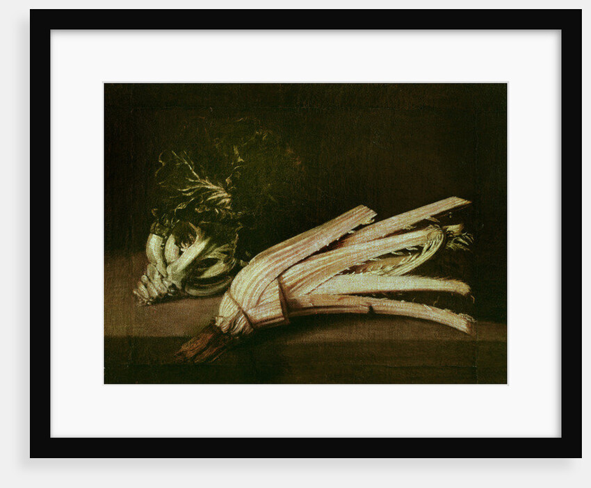 Cardoon and Cabbage by Spanish School