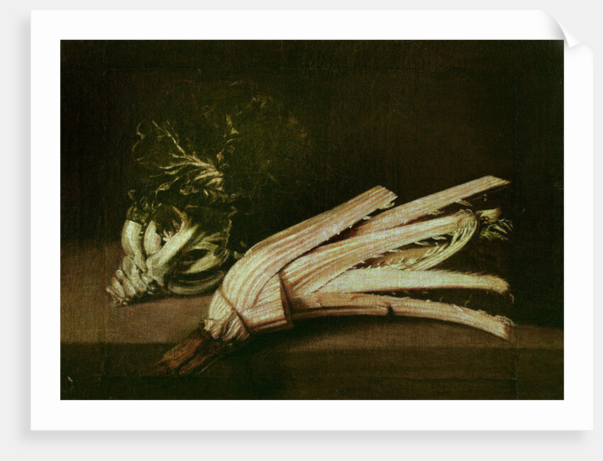 Cardoon and Cabbage by Spanish School