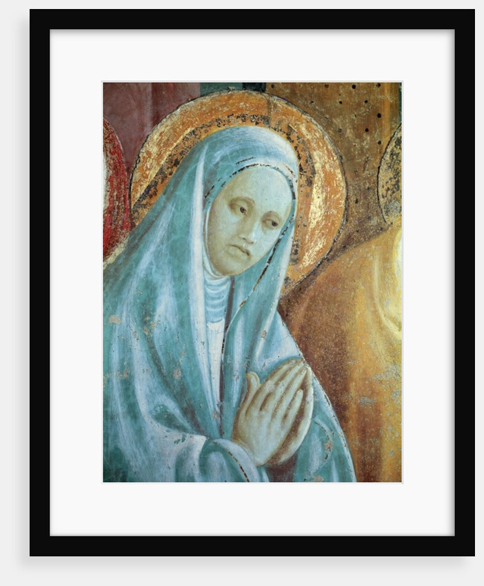 Head of Saint Anne from the Presentation of Mary in the Temple, 1433-34 by Paolo Uccello