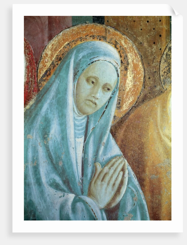 Head of Saint Anne from the Presentation of Mary in the Temple, 1433-34 by Paolo Uccello