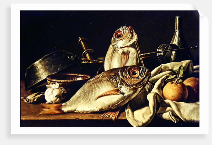 Still Life of fishes, oranges and garlic by Luis Egidio Menendez or Melendez