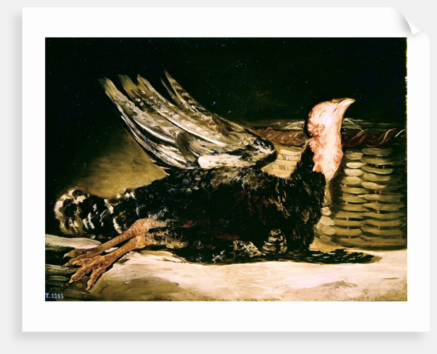Still Life of a dead turkey and a wicker basket, 1806 by Francisco Jose de Goya y Lucientes