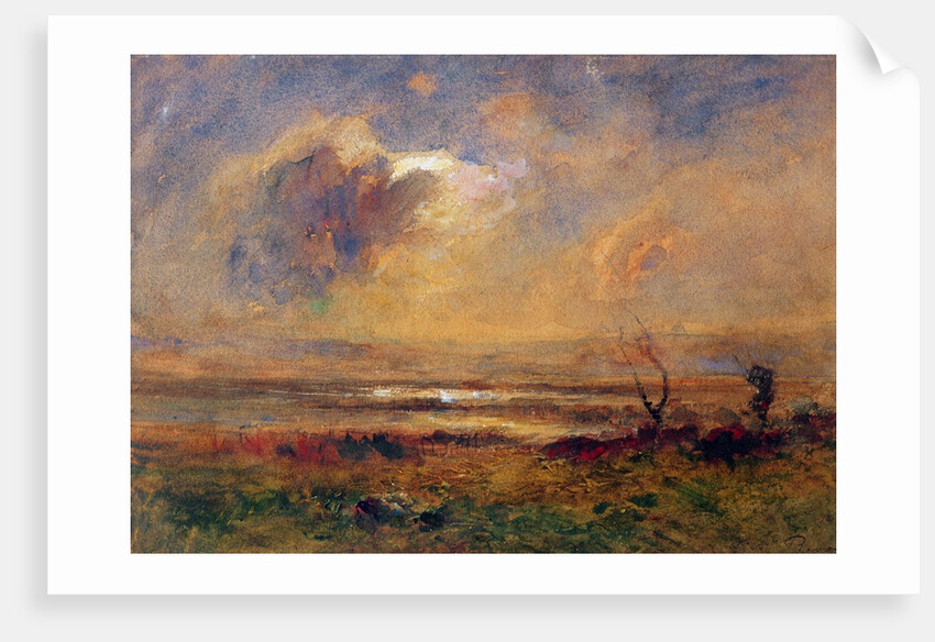 Sunset on the plain, c.1868 by Auguste Francois Ravier
