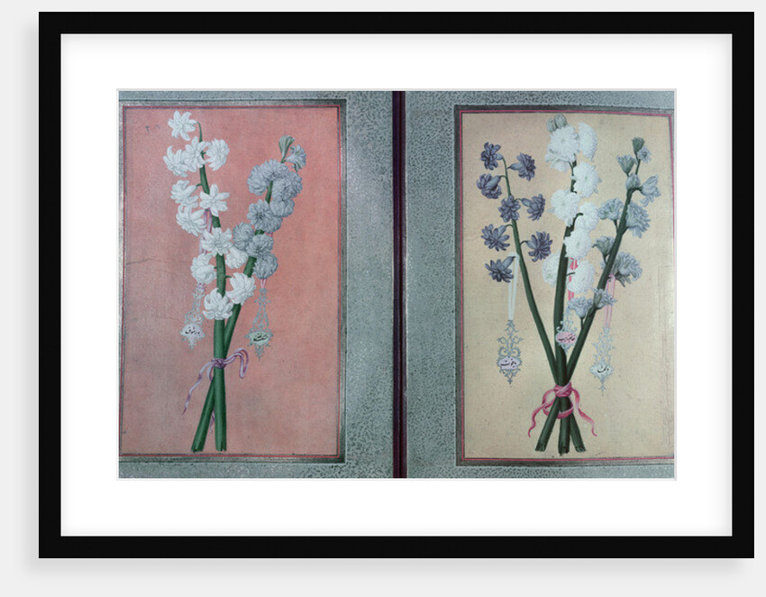 T.K.Hazine 413 Two Hyacinths, 1736 by Turkish School