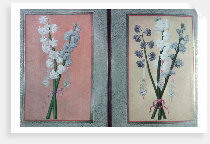 T.K.Hazine 413 Two Hyacinths, 1736 by Turkish School